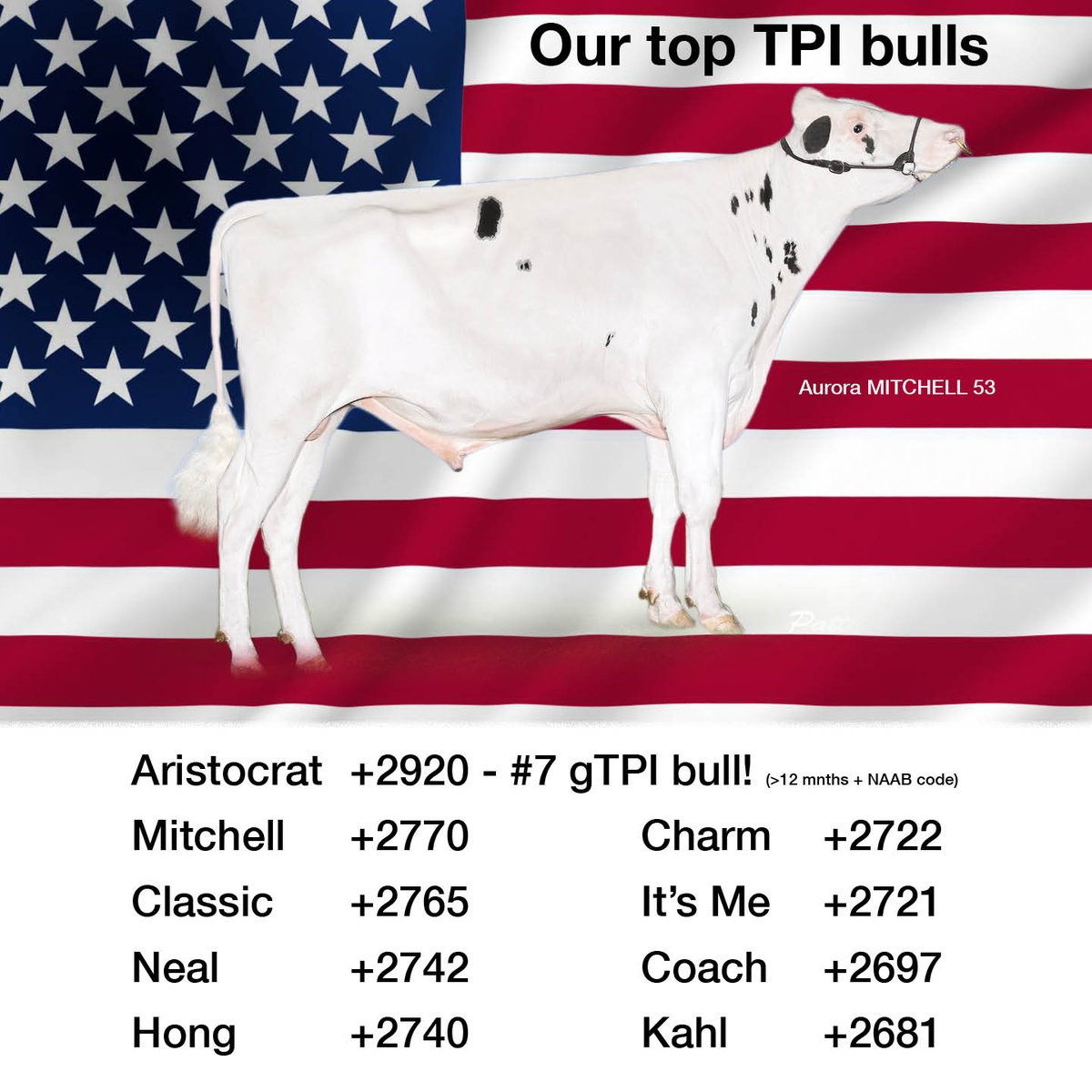 Click on the link to find a summary of our great TPI proofs: bit.ly/2M6A4mB

#aitotal #holsteins #GTPI #newproofs #totalpackage #dairy #dairycows #milk #siresummaries #excited #holsteinlove #cows