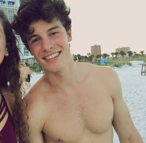 Happy Birthday Shawn Mendes. I love you and your nipples choke me when u see me. 