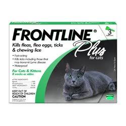 gaincheap's tweet image. #Saving! Extra 12% Off, Guaranteed #LowPrices for #FrontlinePlus! With #Coupon Code! at #CanadaPetCare - #Pets #PetCare #PetSupplies #Cats #CatCare #InternationalCatDay - All of the @CanadaPetCare's #Discount Codes at Gaincheap.com 🐈🐕😍👉 gaincheap.com/coupons/canada…