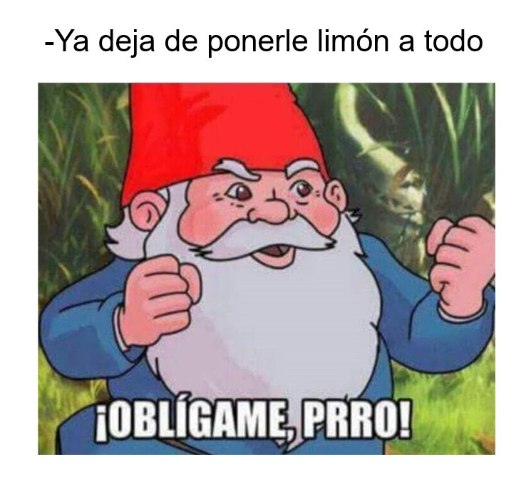 😂😂😂 #FelizMiercoles #obligameperro