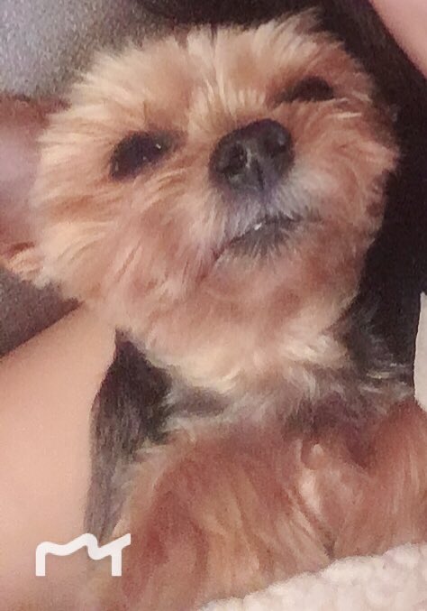 Hanbin_is's tweet photo. @YGFAMILY__CRAZY アクア、上から見るか、前から見るか、 https://t.co/zVMVgzXDBK