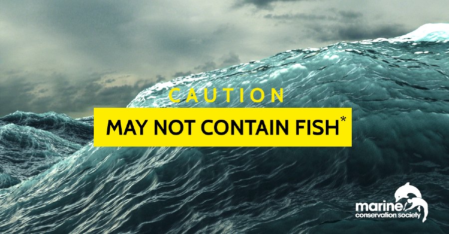 Marine Conservation Society on Twitter: "Everything that is caught