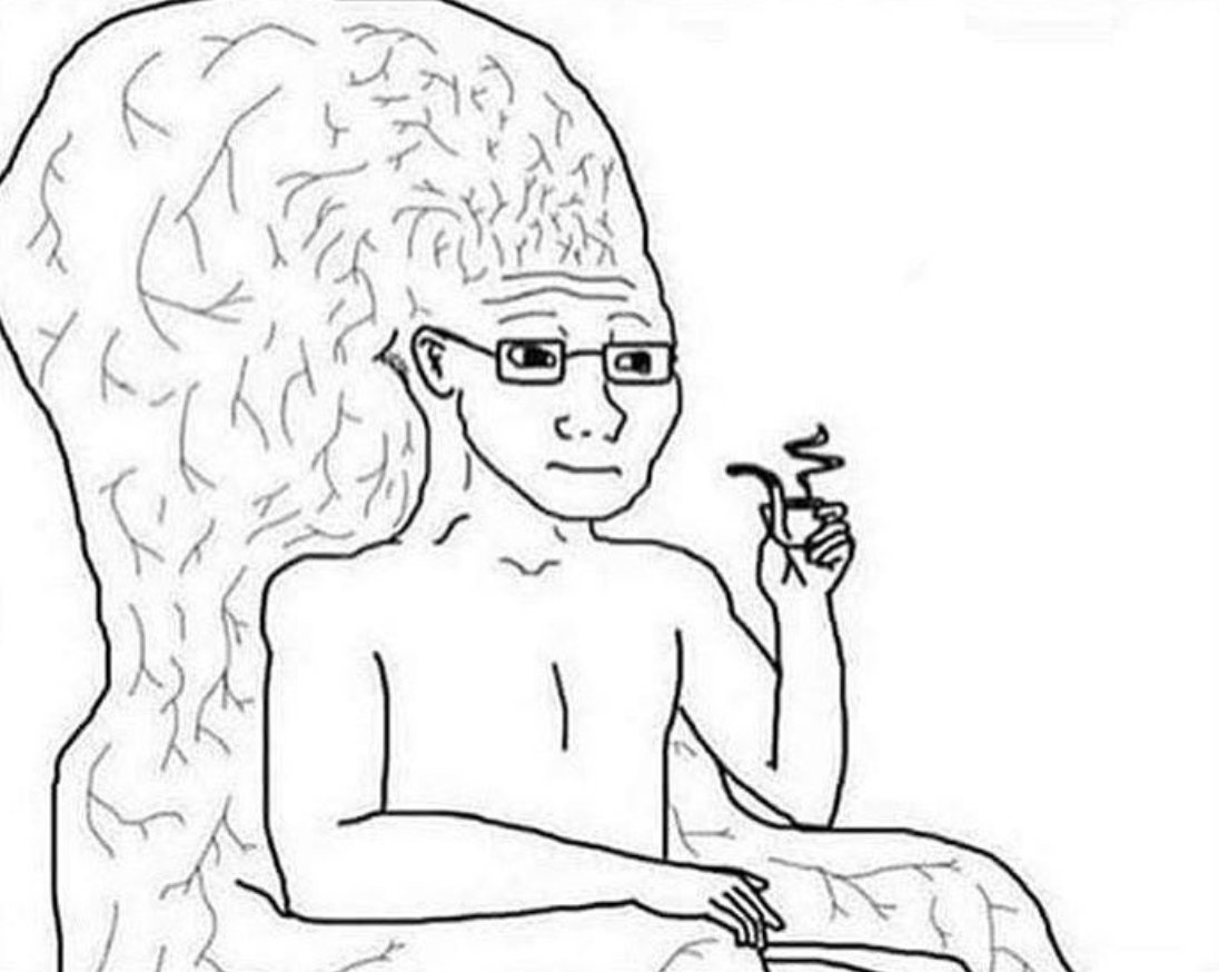 StumblerTop's tweet photo. when you use "furthermore" in an essay https://t.co/4LoU3E1KID
