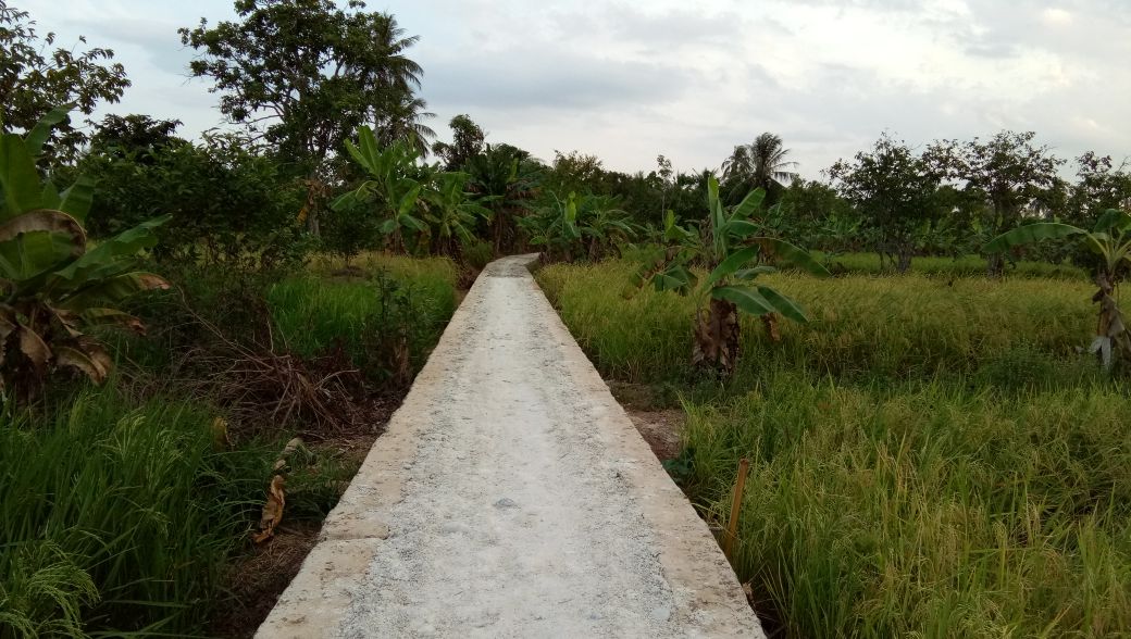 masijo1922's tweet photo. Terima kasih dengan adanya Dana Desa masyarakat bisa menikmatinya 
#PKTDanaDesa
#TPPIKalsel
#KabBanjar
#ProvKalsel
@Jokowi
@EkoSandjojo
@anwsanusi
@taufikmadjid71
@fachrilabalado
@TPPIndonesia
@kpw3_kalsel https://t.co/VZ3fup7jfX
