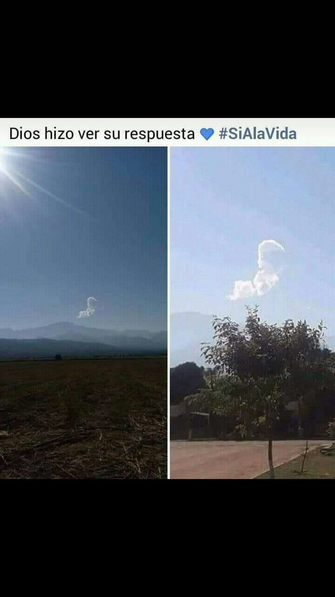 Carla96862039's tweet photo. @DementeYT Que dicen sobre esto💙✊ https://t.co/WqSZIQwl71