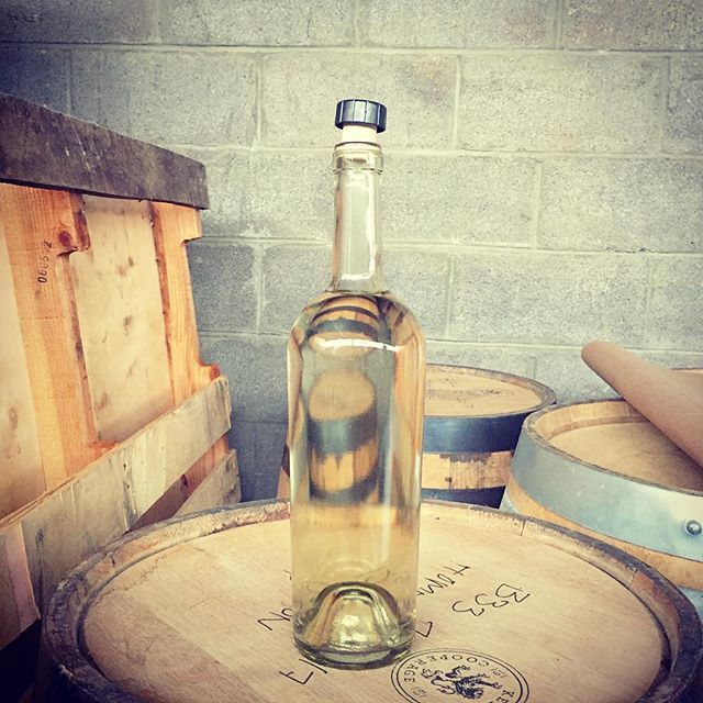 drinkmosswood's tweet photo. “Don’t label me!” But I have to. I promise transparency and full disclosure. What’s your guess, rum or whiskey? /
/
/
/
#cleanbottle #polished #processshot #handlabeled #boozetime #drinkmosswood #dayrum https://t.co/puuTh1Tjs8 https://t.co/9U782zp8LP