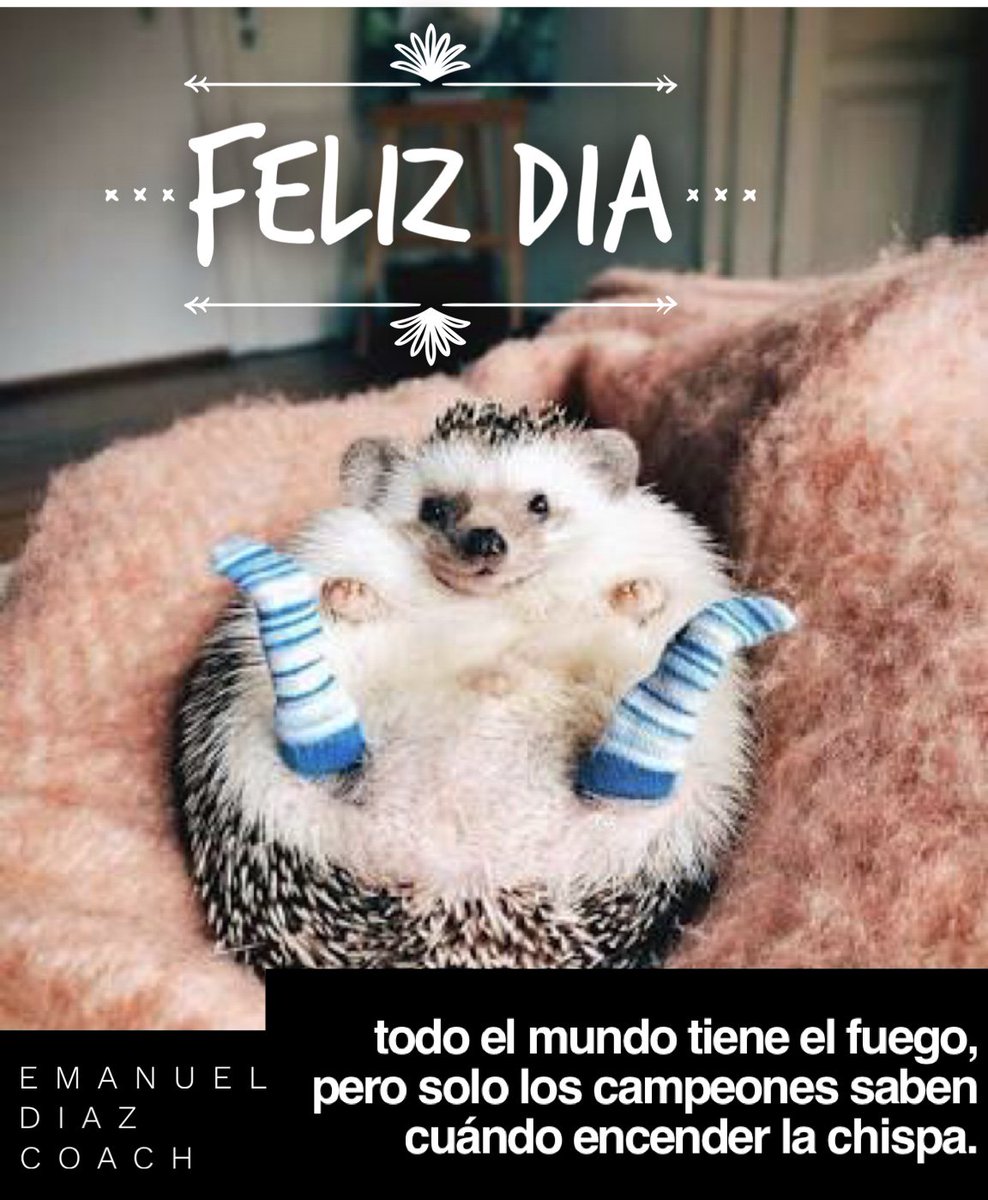 EMDIZE's tweet image. La felicidad es un Arte que se cosecha segundo a segundo 😊 #hoy #ahora  #yo #tu #bebe