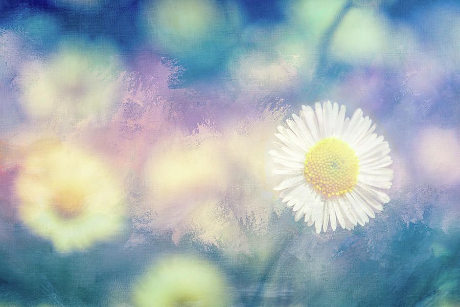 TerryIKON's tweet photo. "Through the Light" by Terry Davis https://t.co/NVT9mK3qGI
#Daisies #Light #Textre #Blue #TerryDavis #TerryIKON https://t.co/XqghTC7aPN