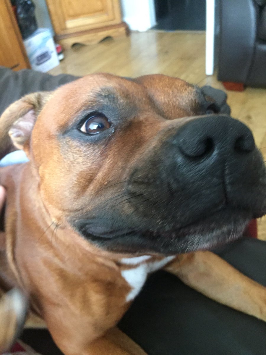This is my ‘ that’s the spot’ face 😜