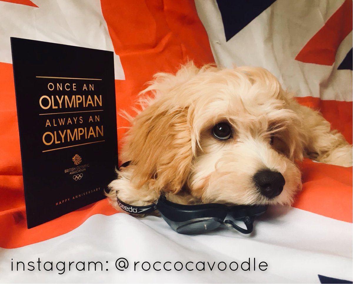 RockySwimmer's tweet photo. Lovely card from BOA today to mark 10 years as an Olympian modelled by my new pup Rocco! Thanks @britishswimming @TeamGB #getinspired https://t.co/0JWgAiWNDc