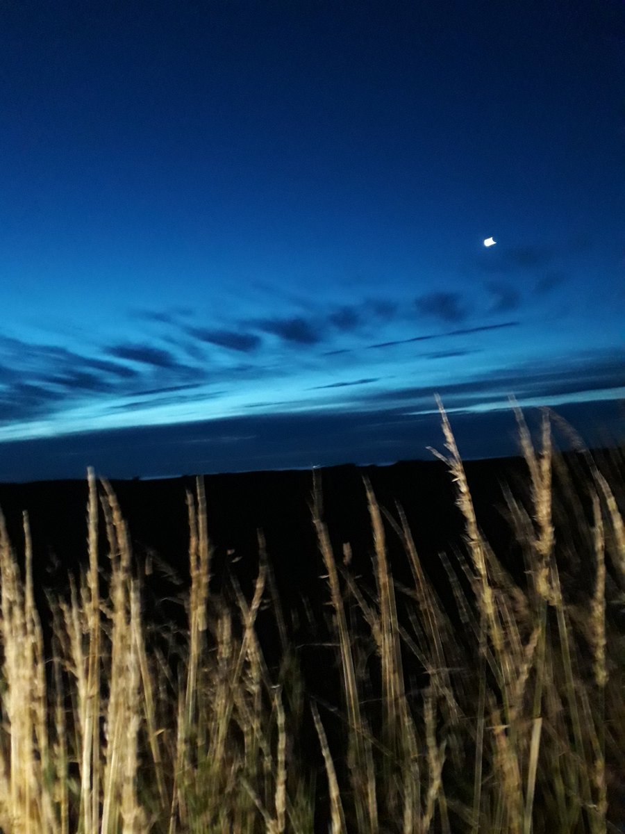 munro1susie's tweet photo. Menie last night on my way home https://t.co/ILALYx6pwX
