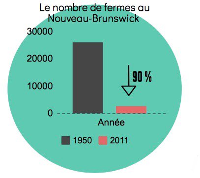 Food For All NB | Aliments pour tous NB tweet media