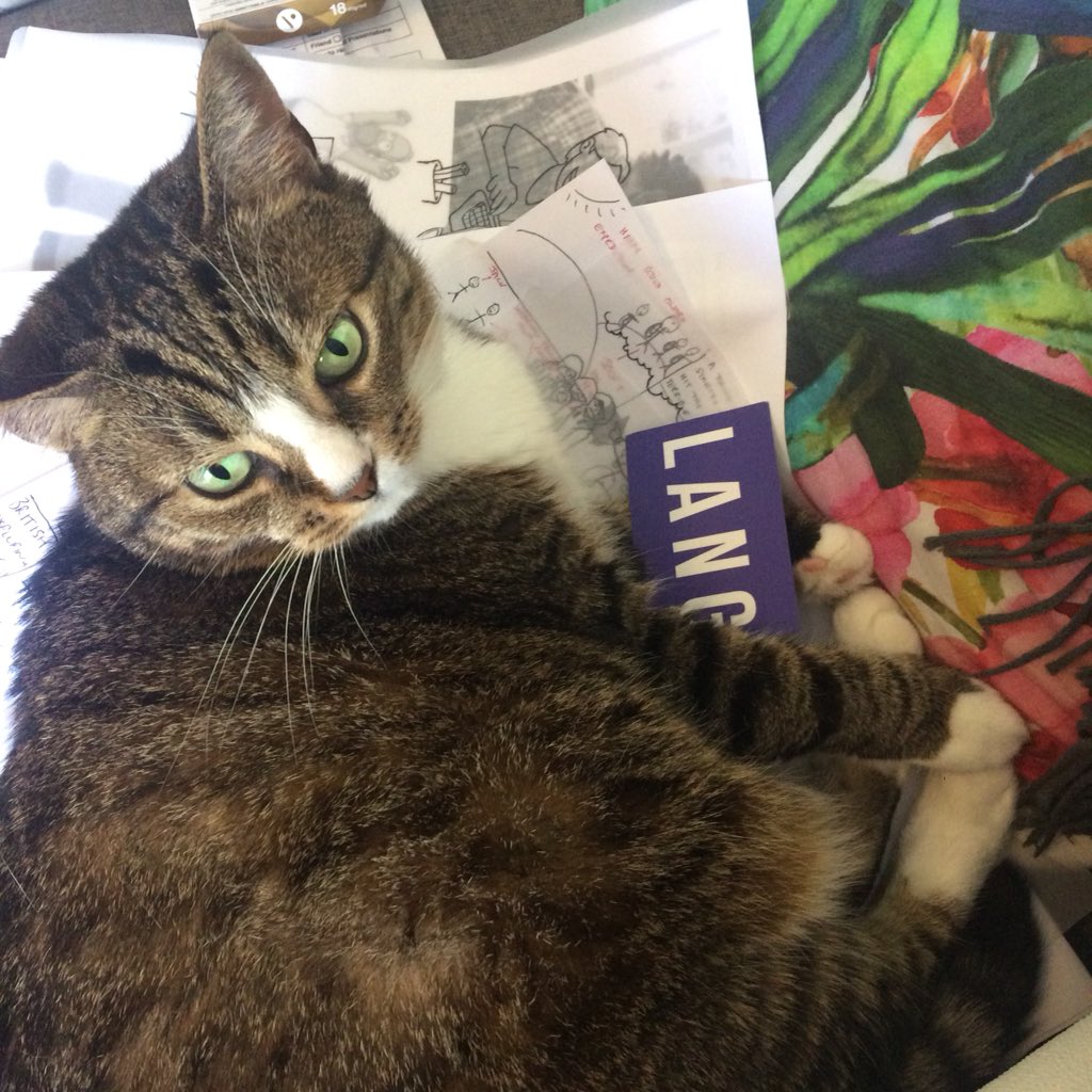 lauraannnoble's tweet photo. To celebrate #InternationalCatDay Nova decided to do some marketing for @LANobleGallery thanks 😺🐱🐈 https://t.co/vGwSZtfzHB
