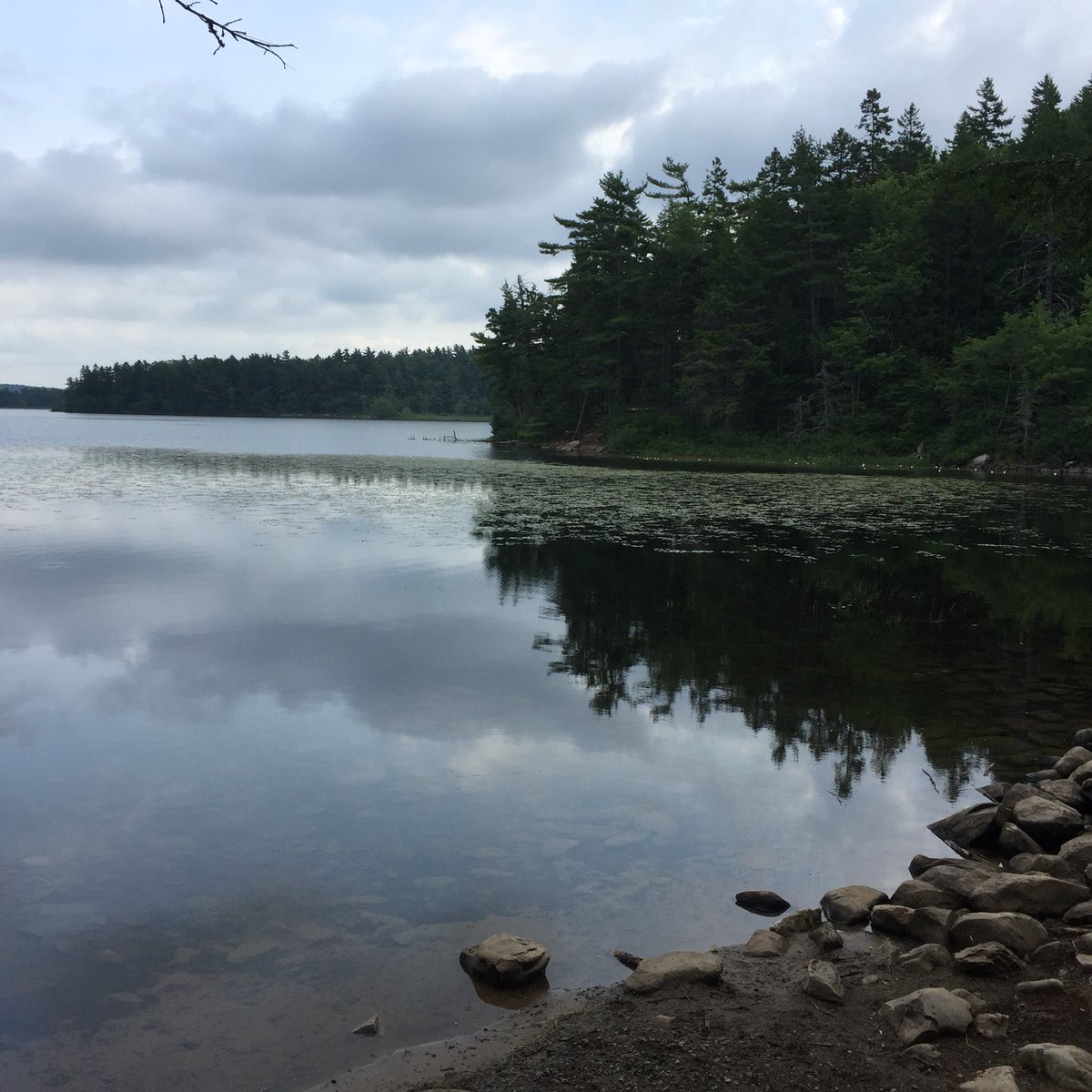 brianjbradley's tweet photo. Morning reflection. #novascotia #sackville #secondlake #views @wencliffe https://t.co/FmuzWjFOnu