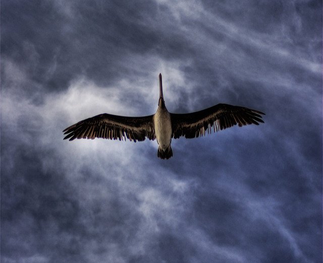 ProblemsPelican's tweet photo. When my mother was killed whilst travelling and her insurance provider insinuated I had forgiven her killer...my life turned upside down.
Learn how I continue to grapple with Royal Londonβs behaviour here: https://t.co/RabPUcxOKM
#pelicanproblems
#lifeinsurance
#insurerabuse https://t.co/MNw8dPs9KW