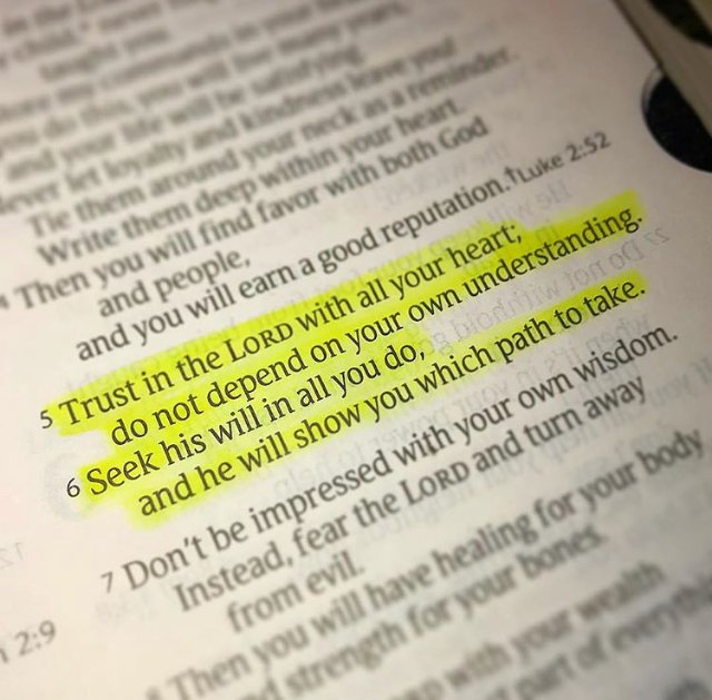 livechristian1's tweet image. Trust in the Lord with all your heart; do not depend on your own understanding. Seek his will in all you do, and he will show you which path to take.
Proverbs 3:5-6