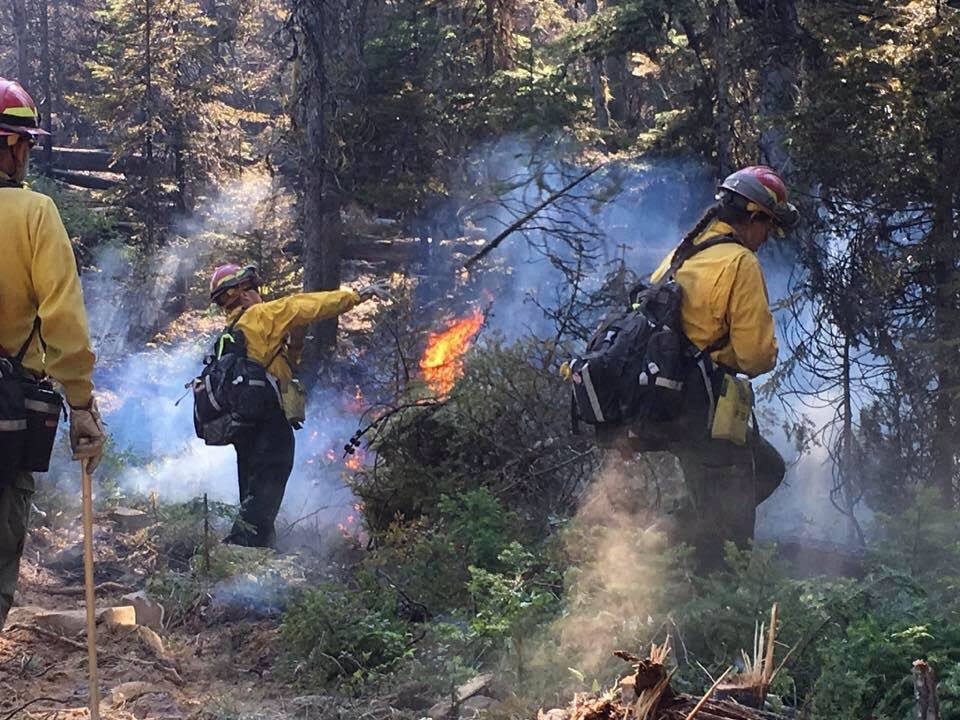 MarylandDNR's tweet photo. Some photos of our Maryland State (MDS) #2 getting the job done battling the Tenmile Fire in the Kootenai National Forest in Northwest Montana. #DNRatWork #DNRheroes https://t.co/ex6gE7xf4A