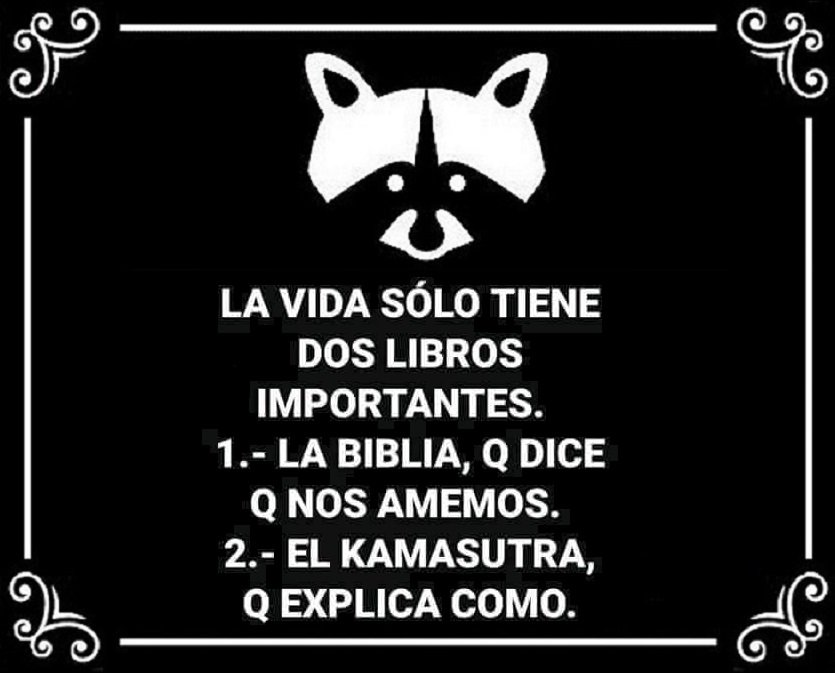 Rulo_mapache's tweet photo. #FelizMiércoles
#FelizLunes
#ElÉxitoEs
#PeroCuandoMeConocen
#YNoMeArrepiento
#DiaInternacionalDelGato
#SonoraNoAlAborto
#LoMasCañonEsQue
#YoEnLaEscuela
#MiPretextoPerfecto
#YaMeAcordeCuando
#Veracruz
#EnTodasPartes
#AhoraSuena
#MeCaeQue
#AMiSeMeHaceGuapo https://t.co/40NUIxY99U