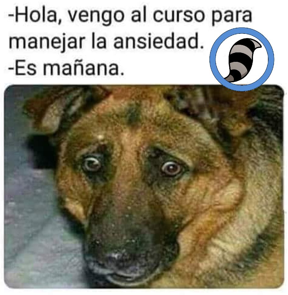 Rulo_mapache's tweet photo. #FelizMiércoles
#FelizLunes
#ElÉxitoEs
#PeroCuandoMeConocen
#YNoMeArrepiento
#DiaInternacionalDelGato
#SonoraNoAlAborto
#LoMasCañonEsQue
#YoEnLaEscuela
#MiPretextoPerfecto
#YaMeAcordeCuando
#Veracruz
#EnTodasPartes
#AhoraSuena
#MeCaeQue
#AMiSeMeHaceGuapo https://t.co/oxv5XinzG9