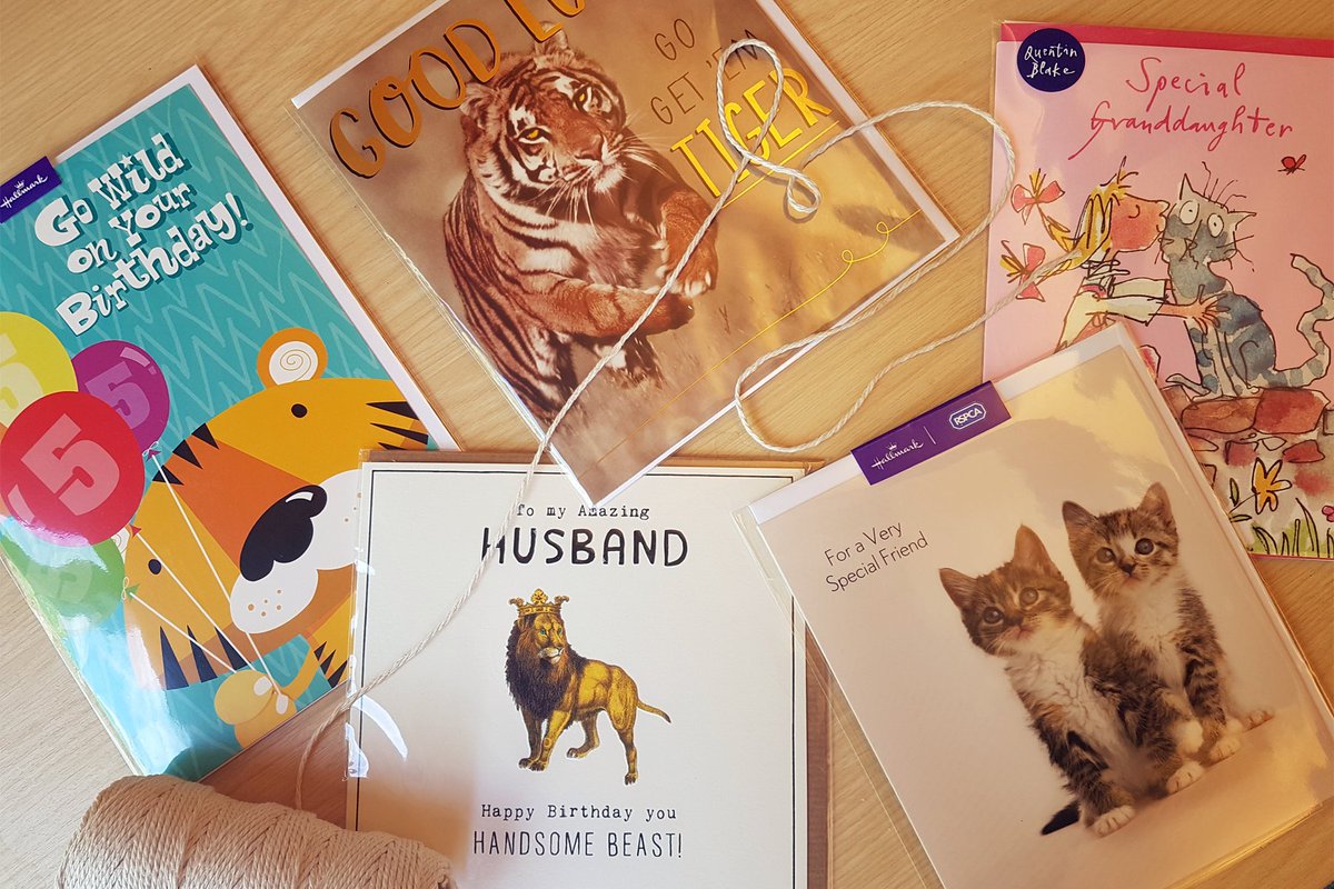 Its #InternationalCatDay! ❤️
Like if you're a cat lover 🐈😻