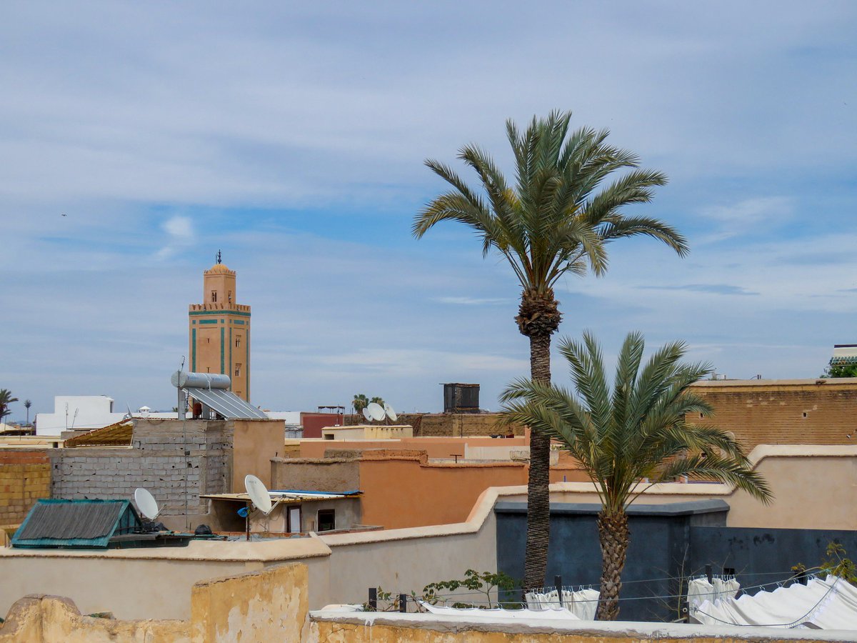 cestujschutou's tweet photo. Rooftops of Marrakech.
⠀⠀⠀⠀⠀⠀⠀⠀⠀
#cestujschutou
#travel #travelers #traveling #trip #exotictrip
#morocco #marrakech #medina
#city #oldcity #theoldcity #rooftops #rooftop #roofs #view #palmtrees
#rooftopsofmarrakech
https://t.co/NBbUnrqG7H https://t.co/h7HMYr5Sqf