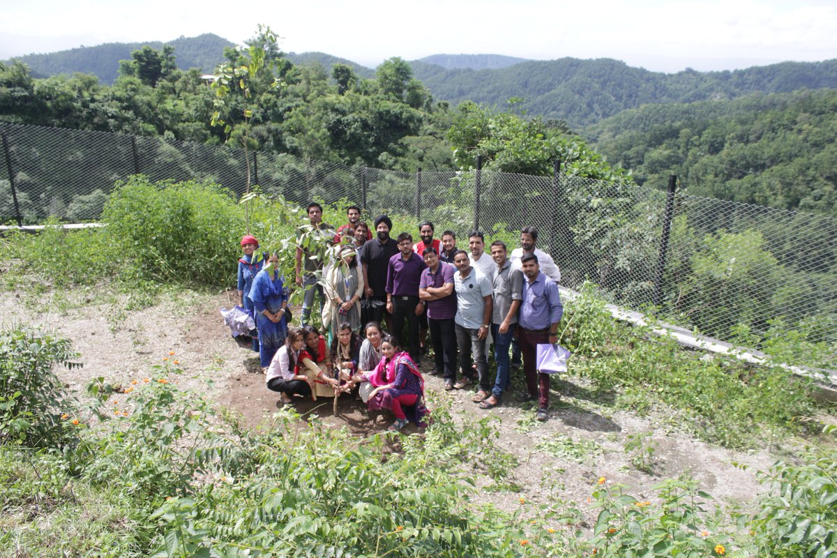 pyds's tweet image. 15 trees planted this morning to mark 15 years of us. This milestone sure feels good. &lt;3
Thank you to Chief Guest, Mr.KushalKothiyal, Editor of Dainik Jagran. Your blessings and mantras for success will resonate with us as we journey ahead. #pyds #purkal