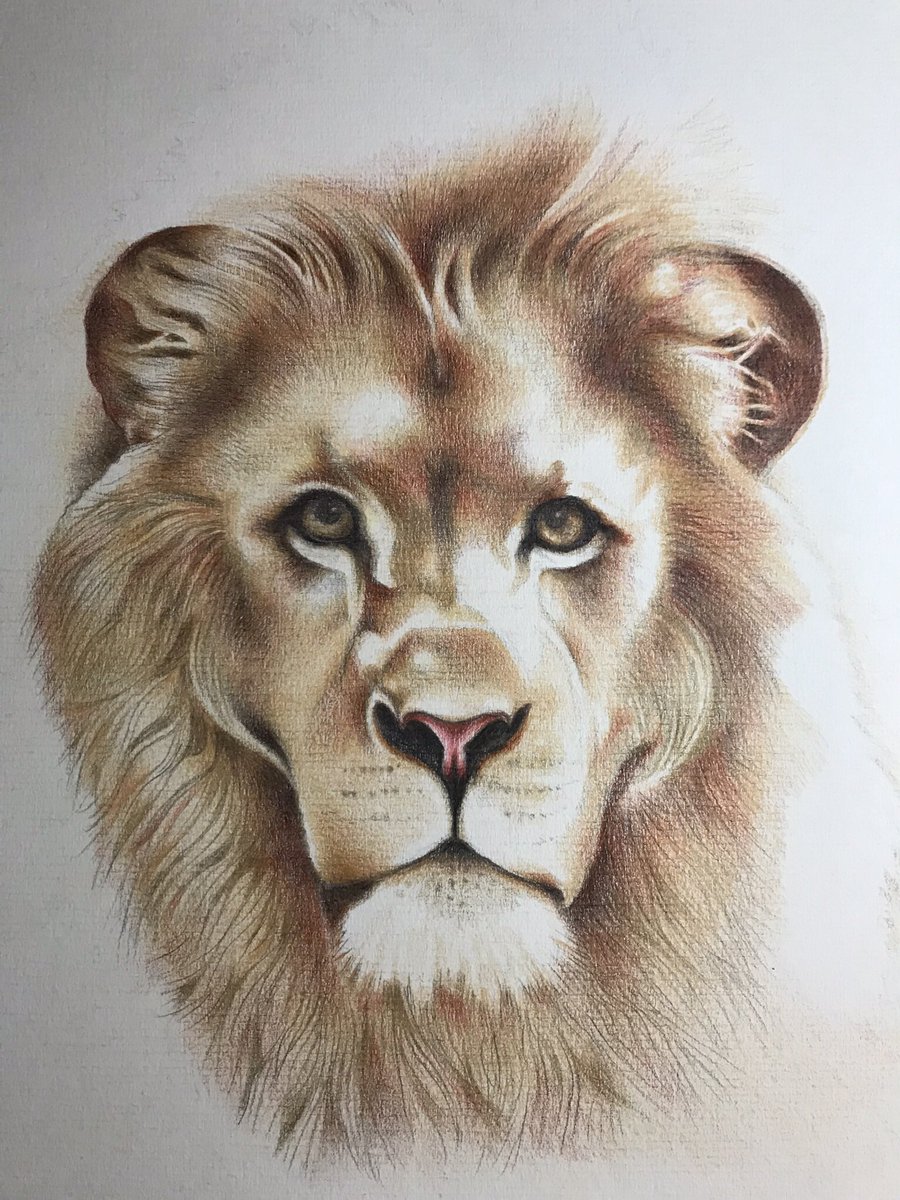 Roncon_artist's tweet photo. Slowly darkening areas https://t.co/iuLxT81zgK