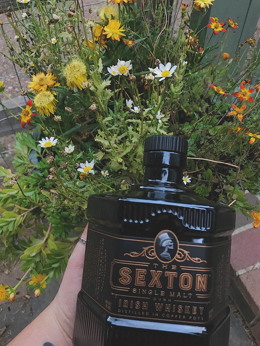 PerfectPourFC's tweet photo. Calling all whiskey fans 🗣 Sexton is my current fav whiskey, it’s perfect to sip on! It’s so smooth, it comes in a fun bottle, and it’s a dollar cheaper than Jameson! Come pick some up today, it’s flying off the shelves! We’re open till 11:50 @ 1671 S College Ave 🥃 https://t.co/nqCzA9V1oS