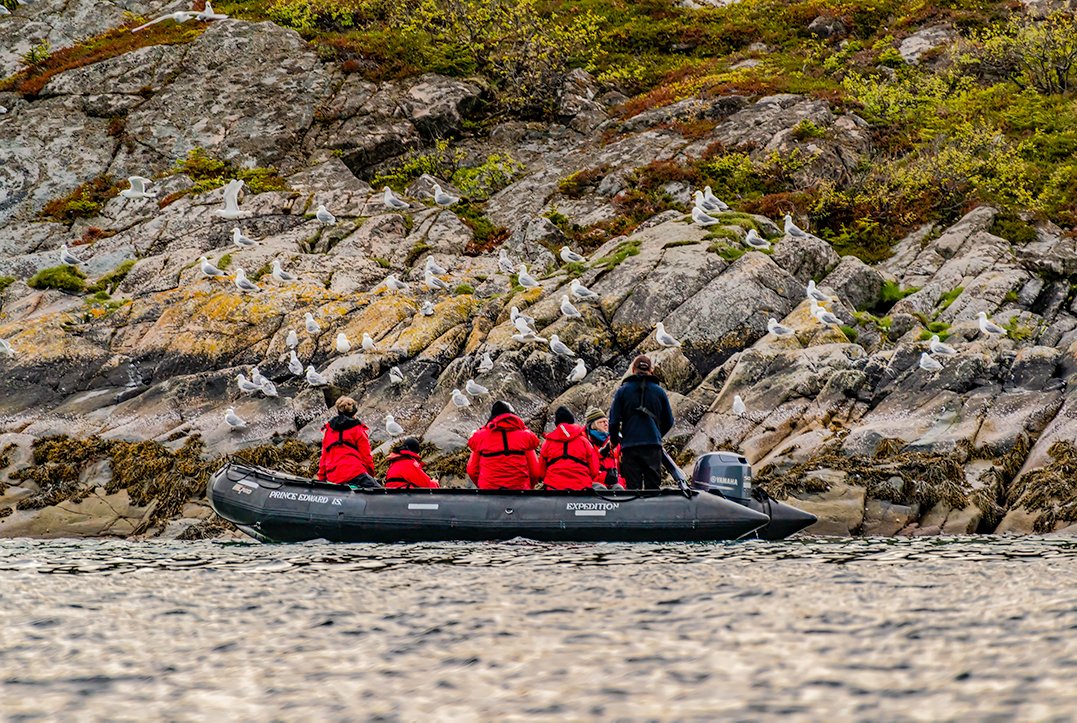 senajourney's tweet photo. Observing wildlife, observing wildlife
.
.
.
.
#gadventures #gexpedition #arctic #arcticbirds #zodiactour #zodiacboats #allinthejourney #kittywakes #birdsofinstagram #traveldeeper #travelgoals #travelwithme #travelgram #traveladdict #travelphotographer #travelholic #traveldiaries https://t.co/OuuQLMGNXO
