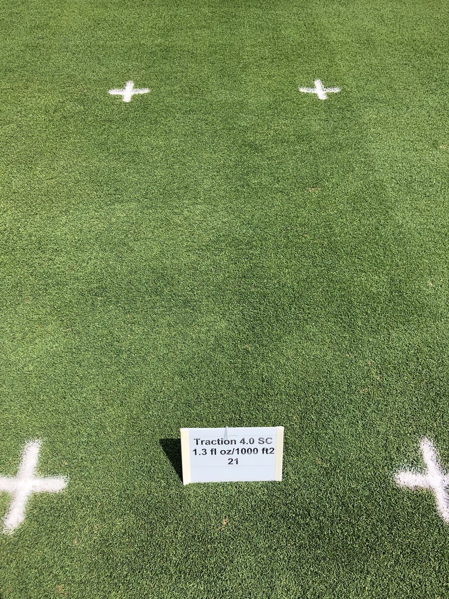 Attending Penn State turf grass field day in happy Valley. Traction at 21 days under fairway management holding strong.