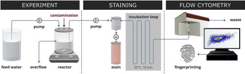 WaterRes_J's tweet image. Real-time #flowcytometry-based detection of microbial disturbances in a #drinkingwater #microbialcommunity sciencedirect.com/science/articl…