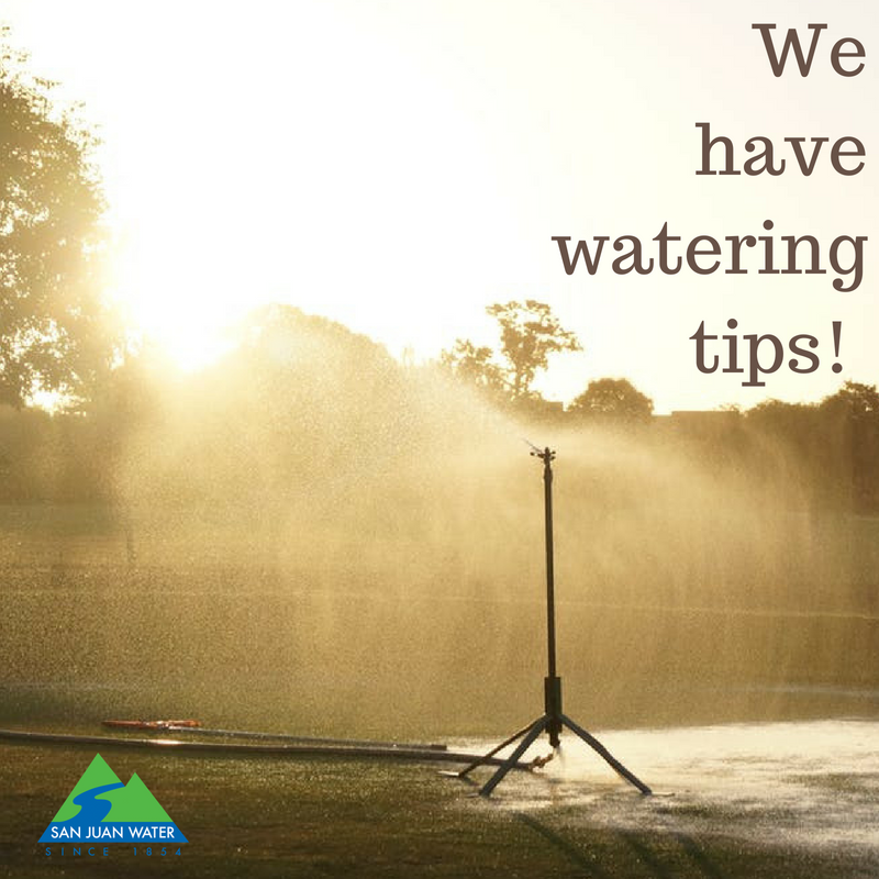 SanJuanWtrDist's tweet image. Here is a fun tip to make sure you’re not overwatering during these summer months: when walking on your lawn, if grass blades spring back up quickly, watering isn’t necessary!
sjwd.org/outdoor-water-…
#SanJuanWater #WaterConservation #WaterTips
