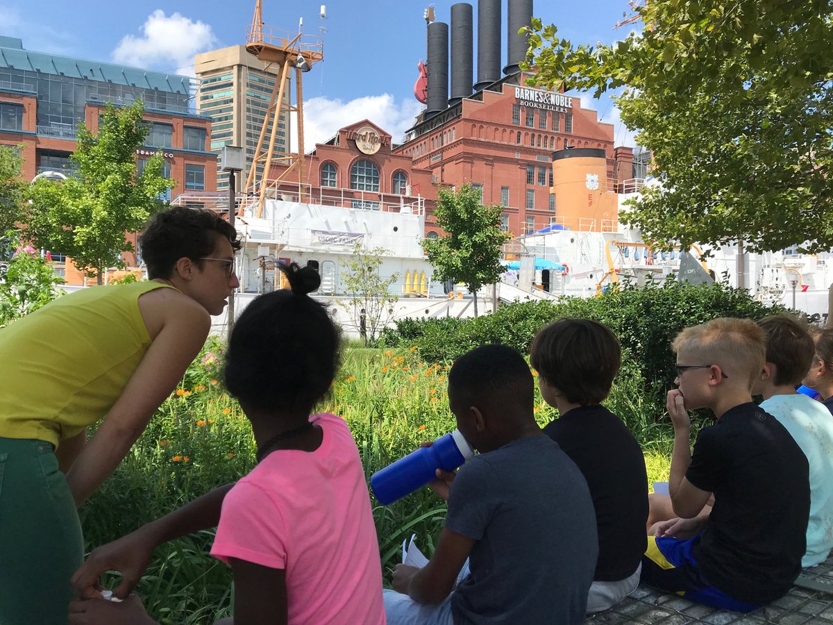 tuSTEMcenter's tweet photo. Exploring rain gardens with campers from @NatlAquarium! #TUproud #towsonuniversity #studentsdoingSTEM https://t.co/FUyUcVZrVs