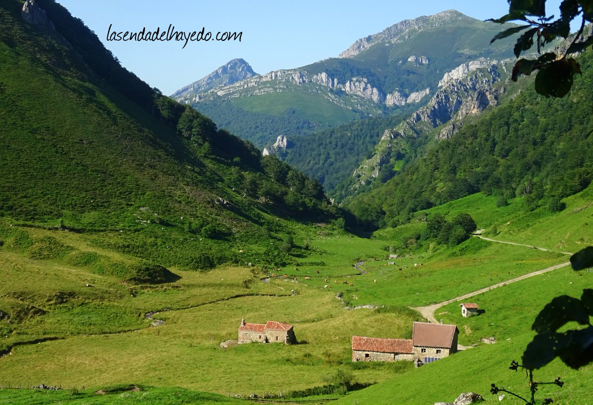 sendadelhayedo's tweet photo. (2/4)Además este año decidimos pasar el pequeño puertín de Ventaniella para acercarnos a la ermitina del mismo nombre, situada ya en #asturias, en el Parque Nat. de Ponga, nombrado recientemente #reservadelabiosfera por la @UNESCO Todo un espectáculo visual. #parquenaturaldeponga https://t.co/rAV93FsaX4