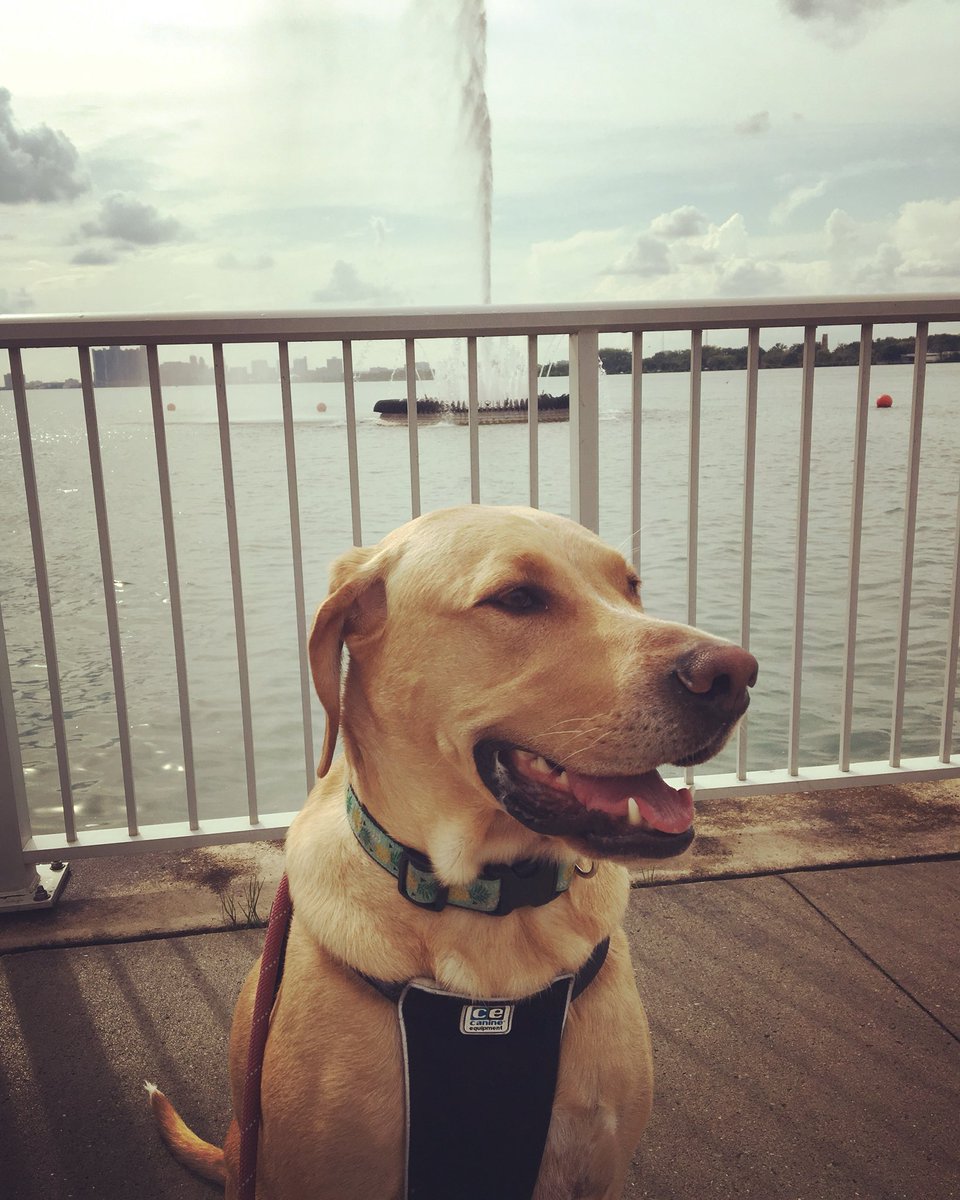 melvdub's tweet photo. Pretty sure she comes here for the mist #peacefountain 💦 https://t.co/U0wXSO388k