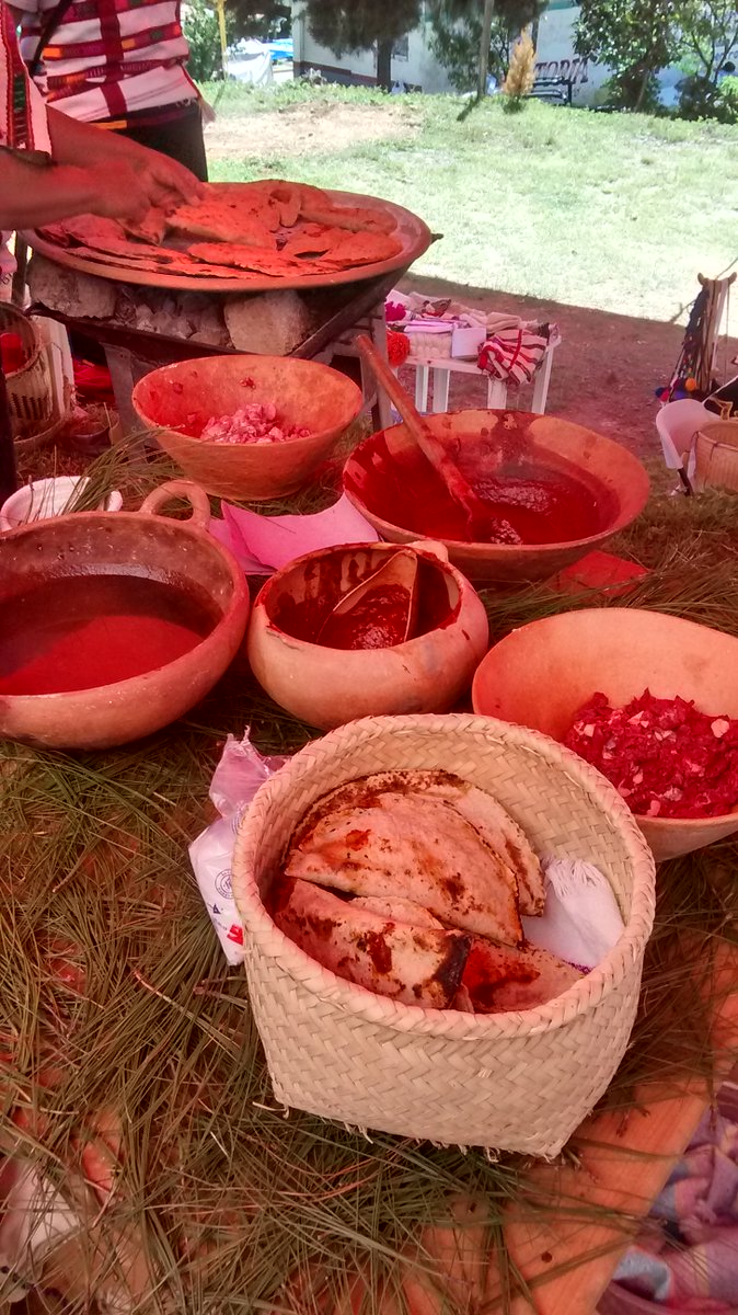 SergioRojas0110's tweet photo. Luego de un rico almuerzo, es la hora que no tengo hambre #cuquila https://t.co/XE0QQL3C2c
