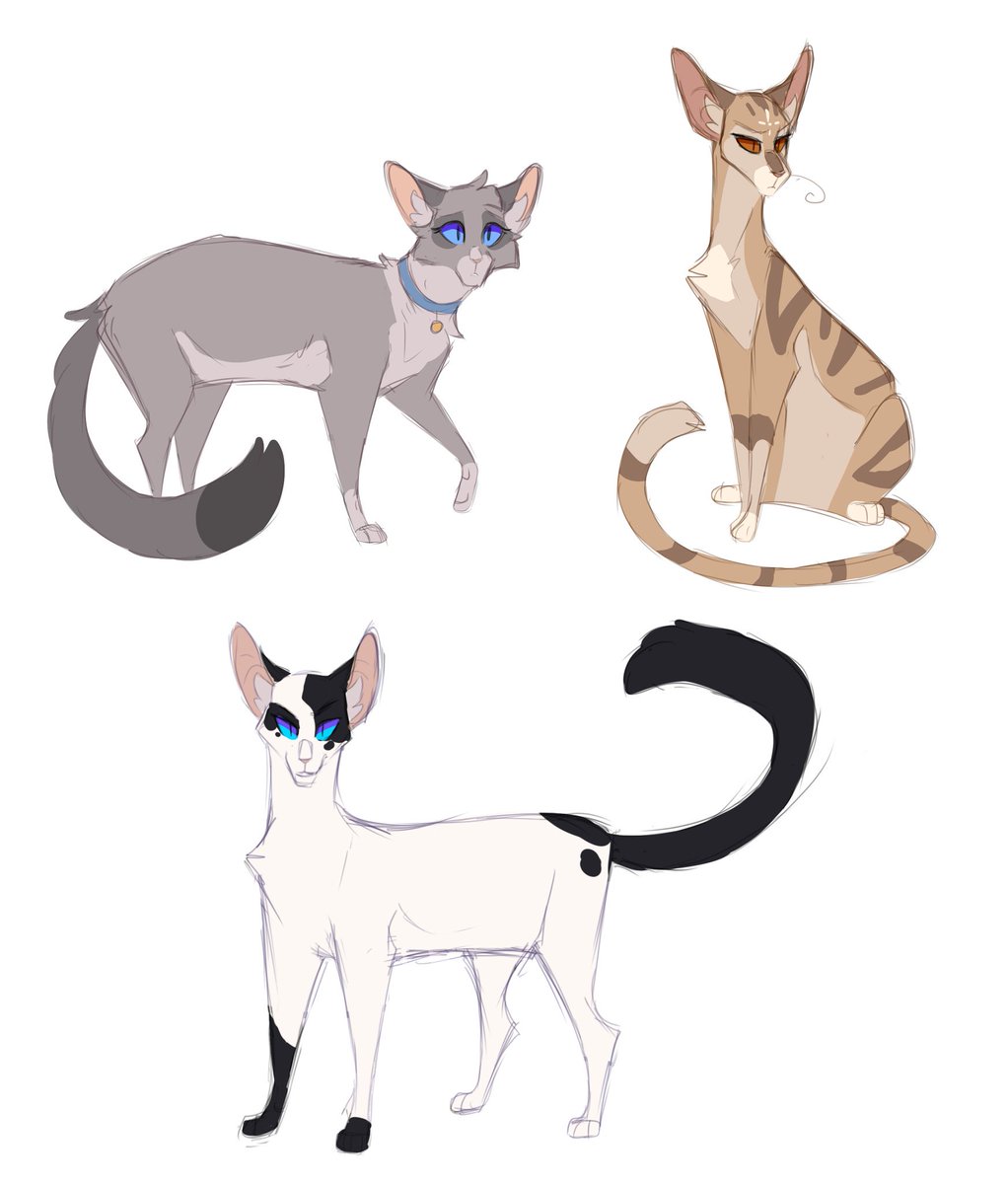Lttleghost I Ve Gotten Several Requests For This Family So Here Yall Go Smoke Onestar And Darktail Darktail Is My Favourite Warriors Villain I Love Him Warriors Cat Warriorcats Onestar Darktail Lttleghost I Ve Gotten Several Requests For This Family So Here Yall Go Smoke Onestar And Darktail Darktail Is My Favourite Warriors Villain I Love Him Warriors Cat Warriorcats Onestar Darktail
