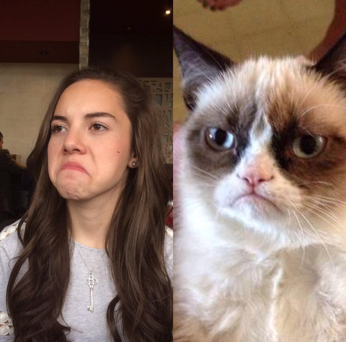 sebastian_isla's tweet image. #Típicoque tu novia se parezca a un meme @adinaburak @Ceci_Flores @tvtelehit