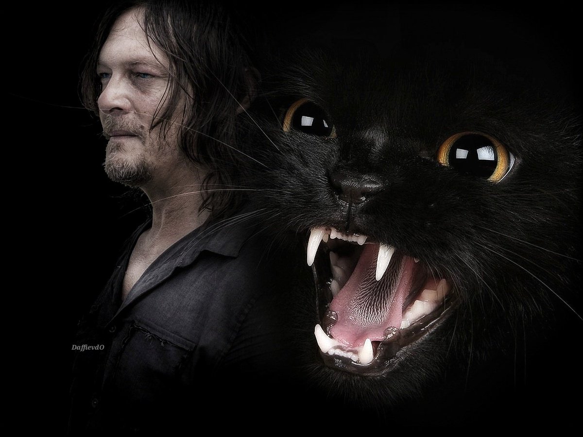 𝓓𝓪𝓹𝓱𝓷𝓮 𝓿𝓪𝓷 𝓭𝓮𝓷 𝓞𝓮𝓿𝓮𝓻 tweet media