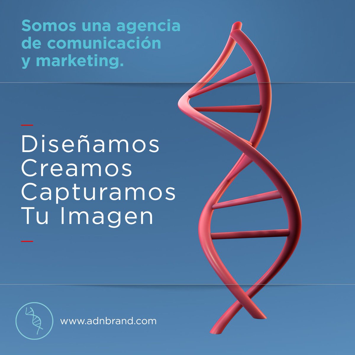Fotografía y Video.📷🎥
Contamos con un equipo técnico y humano especializado, somos fotógrafos profesionales que se ajustan a las necesidades de cada sesión y sector.
Enterate de todas nuestras soluciones en 👉 adnbrand.com 👈
O al email 📩 contacto@adnbrand.com