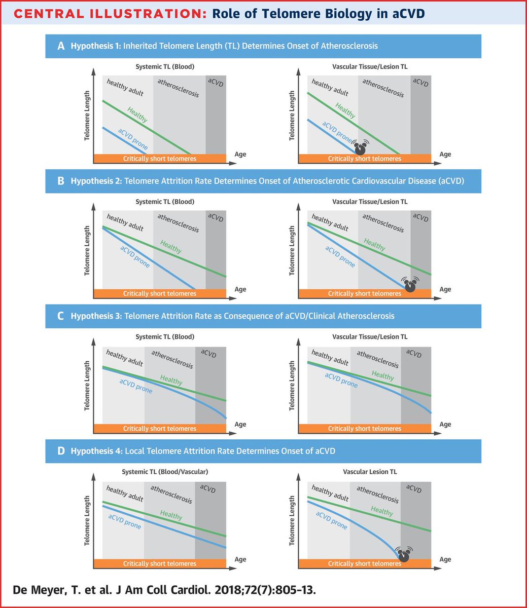 JACC Journals tweet media