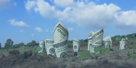 EdMarketBrief's tweet photo. NewSchools Venture Fund (@nsvf) has unveiled funding opportunities for innovative schools and diverse leaders. #K12Dealmaking #K12 #EdTech
https://t.co/lQNNytJqZV https://t.co/IOv0Yzz7Dr