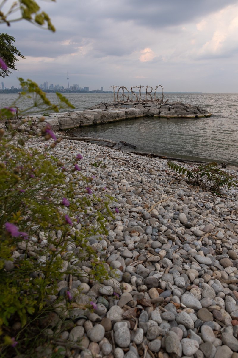 grounded_susan's tweet photo. A visit to the lake after work for #day7 of the #30x30naturechallenge #onenaturechallenge @OntarioParks @DavidSuzukiFDN #OptOutside https://t.co/VRmMEJnYvD
