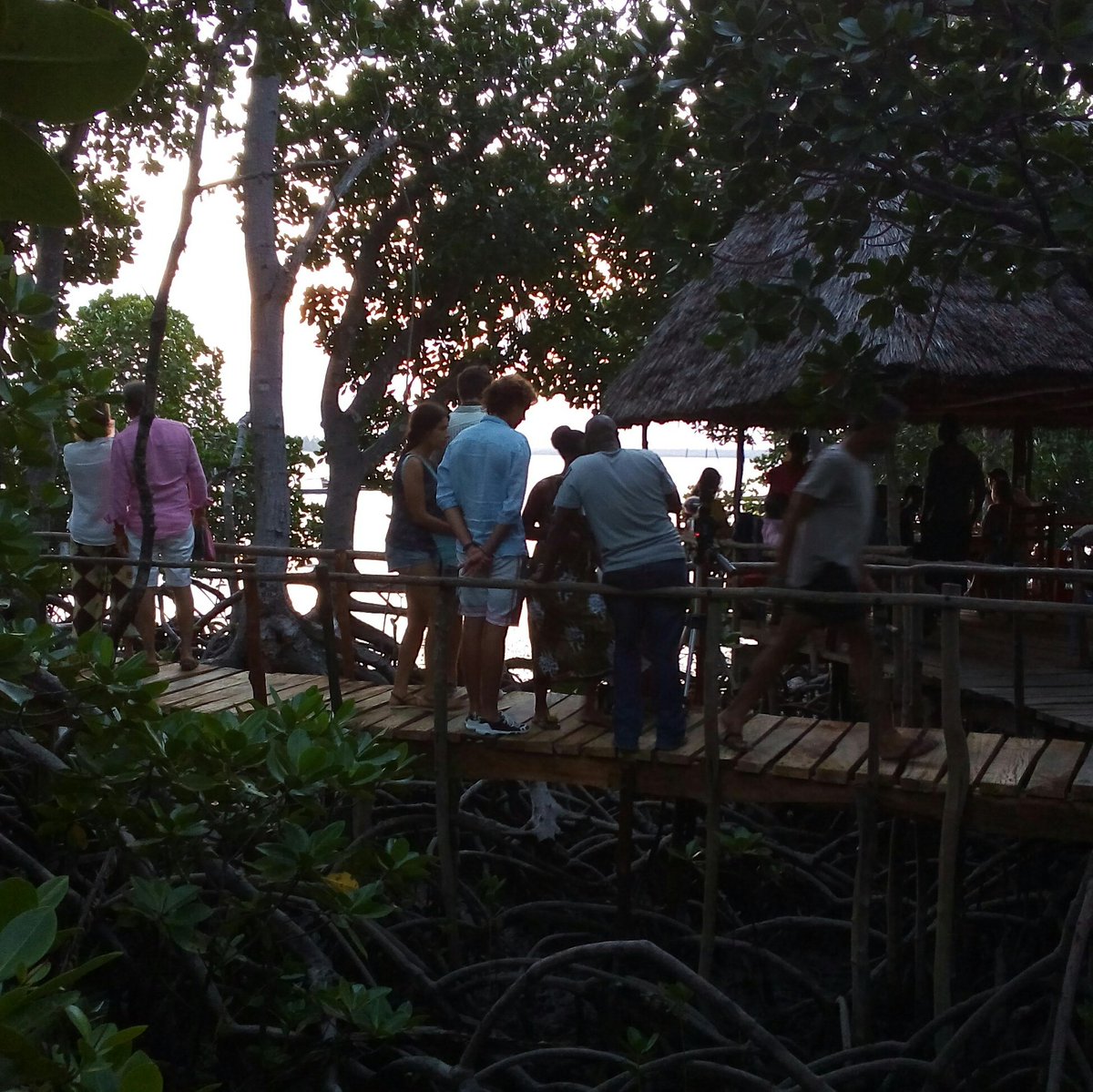 Crab Shack Dabaso, Watamu (Crabshackwatamu) Twitter