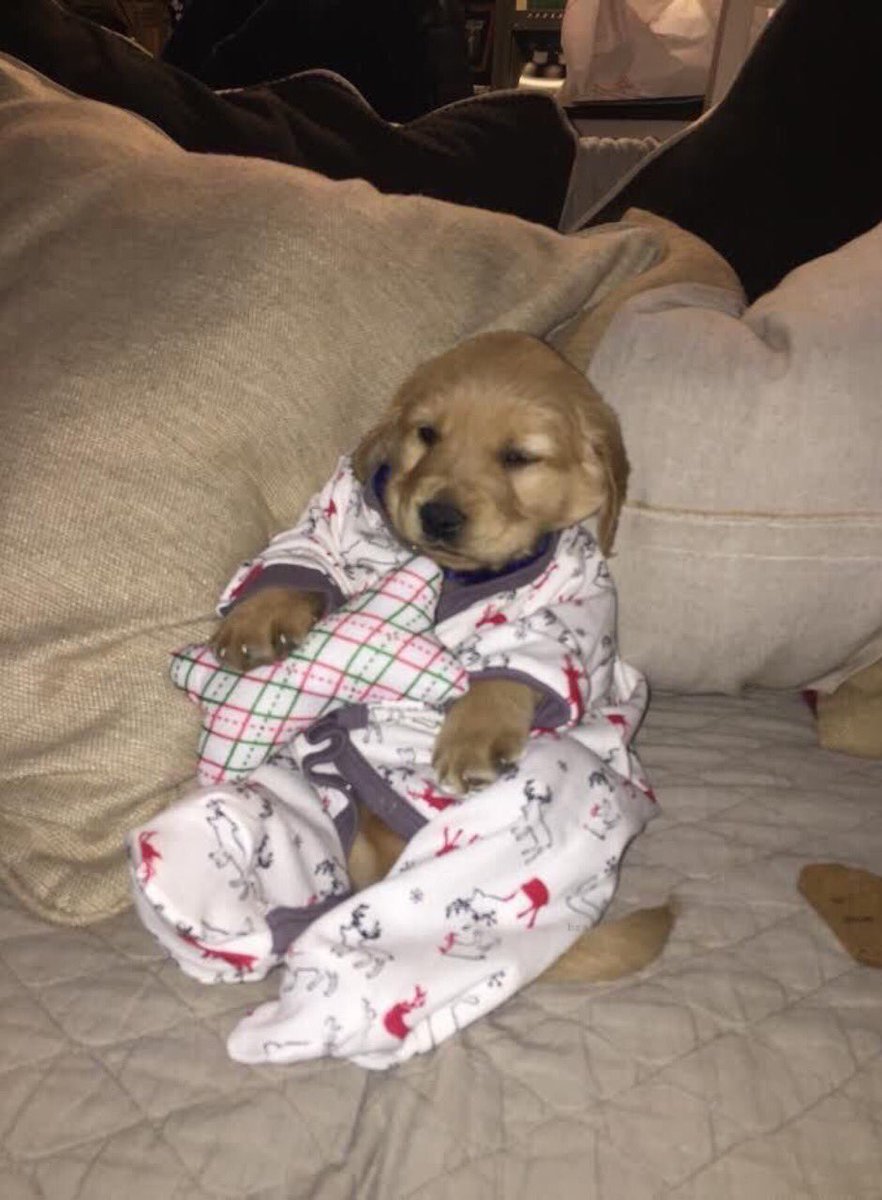 elcosodelapizza's tweet image. - Pensas tener hijos?
-