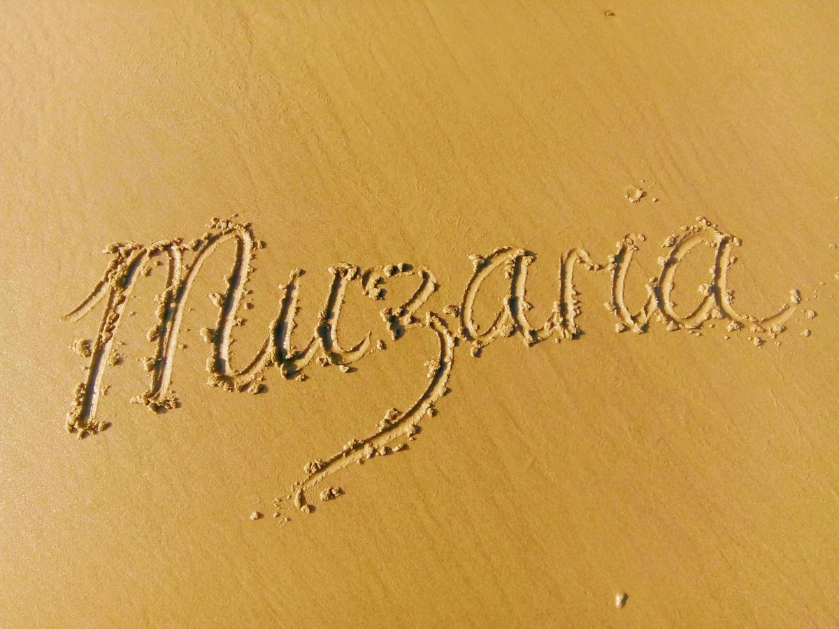 Muzaria tweet media
