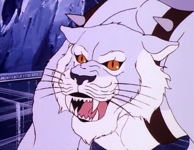 ThunderCatsOrg's tweet photo. #InternationalCatDay2018 #ThunderCats #SnowMeow 👍 https://t.co/JvjZ9iuhtS