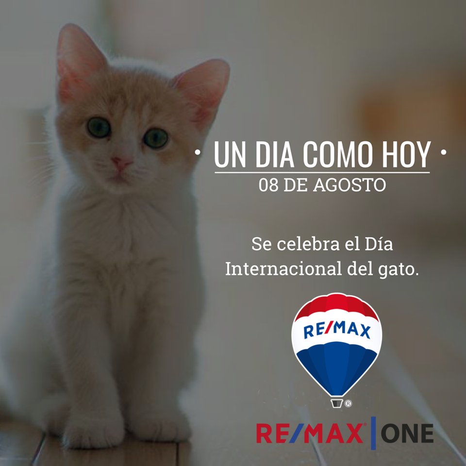 #TodosSomosRemax #TodosSomosRemaxONE