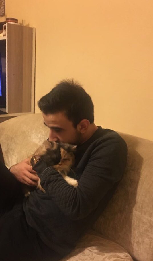 Westbrooook's tweet photo. Hep benimle kal ❤️ #InternationalCatDay https://t.co/16rDU4WRnp