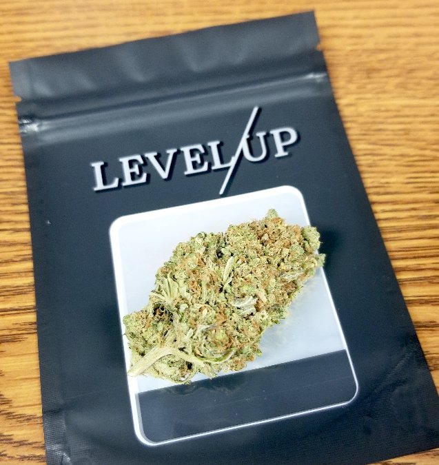 You're never to grown up for #AnimalCookies! 🌿😺
.
.
.
#azmmj #azmarijuana #prop203 #420az #flowerpower #medicalmarijuana  #cannabisculture #tempe #scottsdale #arizona #asu